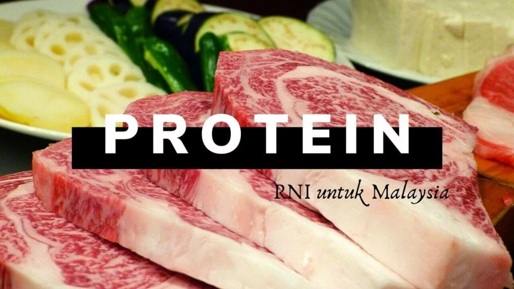 senarai makanan tinggi protein
