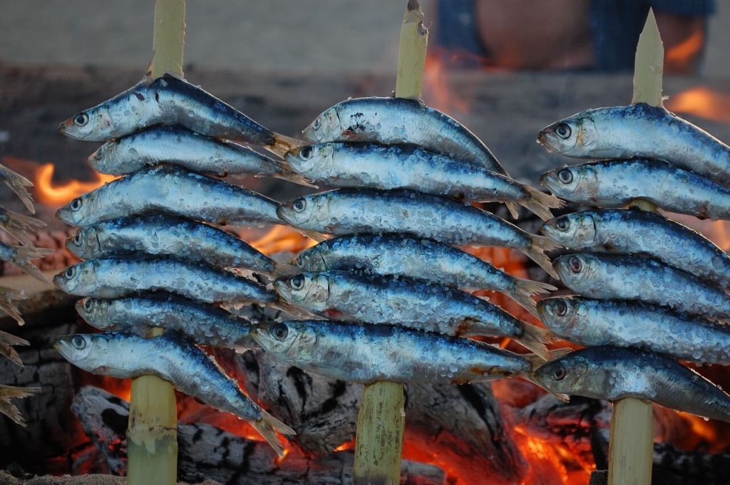 khasiat ikan sardin