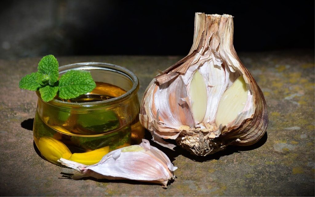 khasiat minyak bawang putih