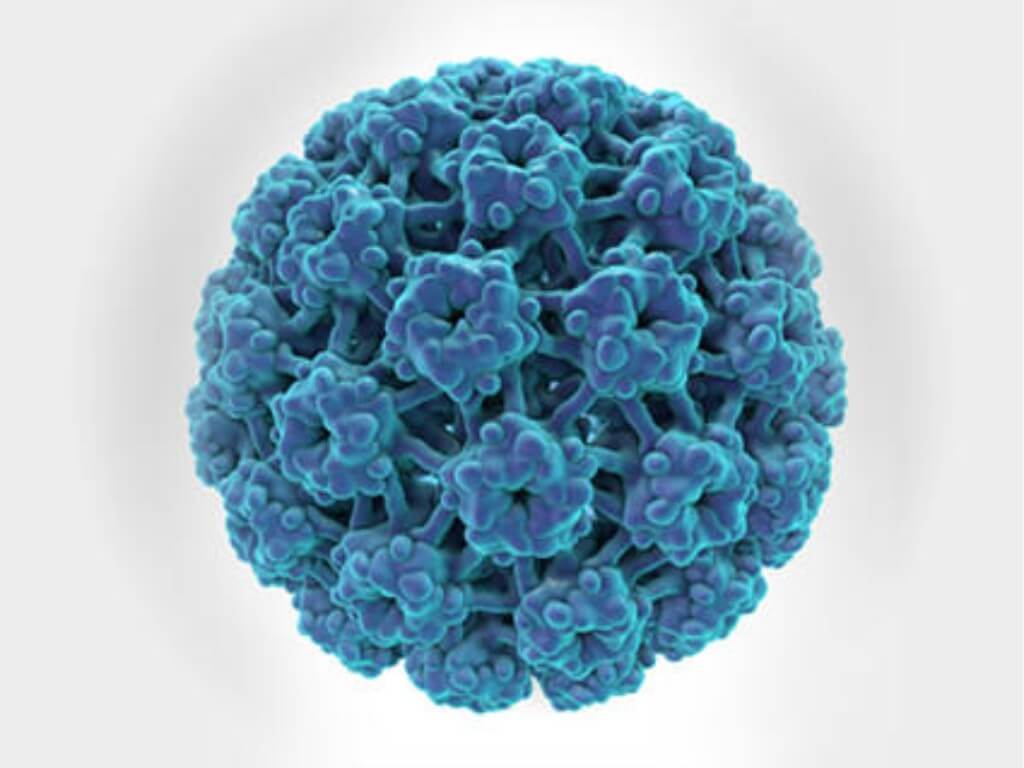 jangkitan HPV-virus HPV